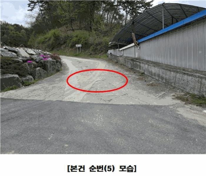 세종특별자치시 장군면 대교리 293 근린시설 경매 사진 11
