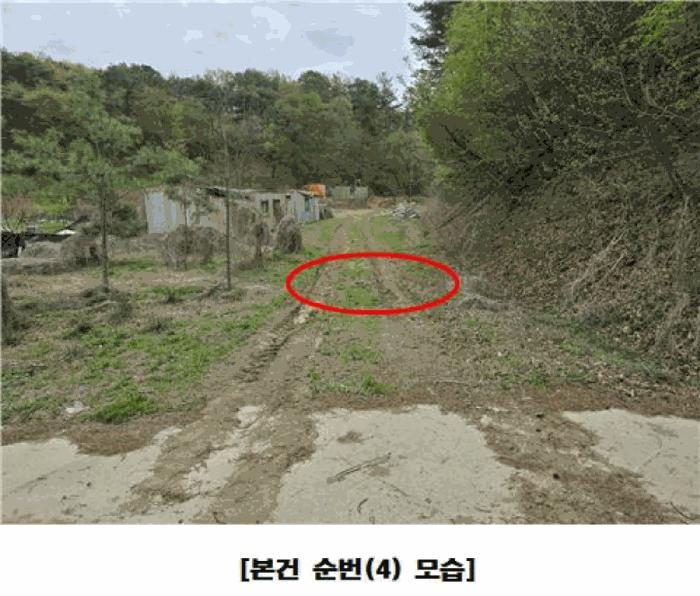 세종특별자치시 장군면 대교리 293 근린시설 경매 사진 13