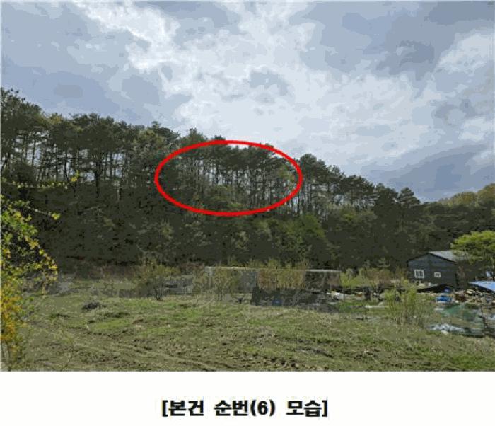 세종특별자치시 장군면 대교리 293 근린시설 경매 사진 2