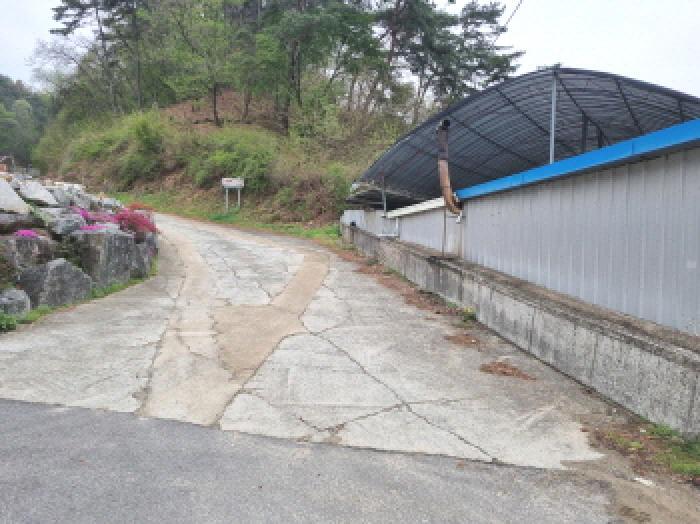 세종특별자치시 장군면 대교리 293 근린시설 경매 사진 43