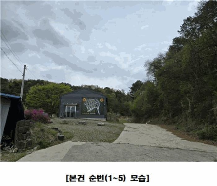 세종특별자치시 장군면 대교리 293 근린시설 경매 사진 7