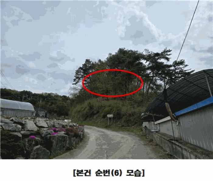 세종특별자치시 장군면 대교리 293 근린시설 경매 사진 9
