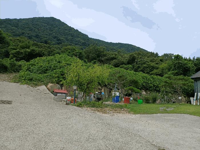 경상북도 경주시 율동 954-20 과수원 경매 사진 1