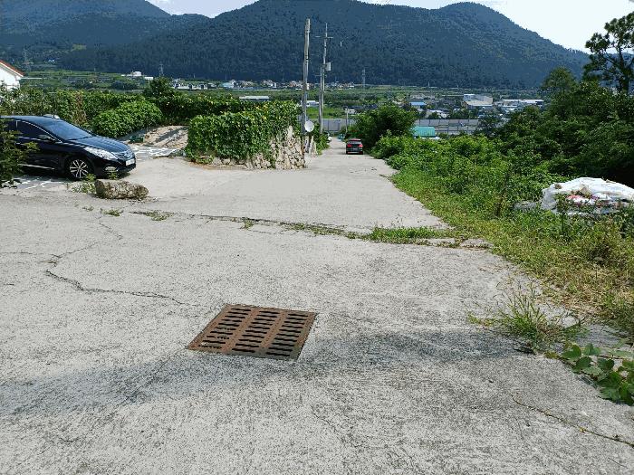 경상북도 경주시 율동 954-20 과수원 경매 사진 2