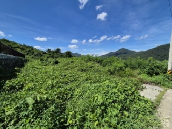 경상북도 경주시 율동 954-20 과수원 경매 사진 23