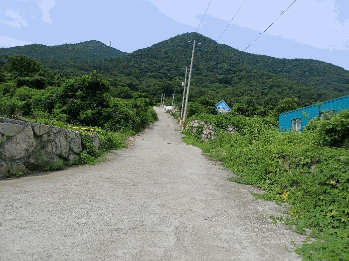 경상북도 경주시 율동 954-20 과수원 경매 사진 4