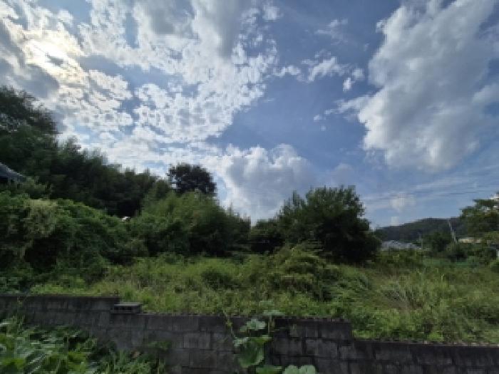 경상북도 경주시 양남면 상계리 112 대지 경매 사진 5