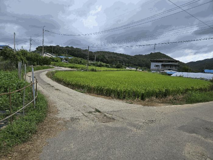 경상북도 경주시 외동읍 녹동리 504-4 전 경매 사진 2
