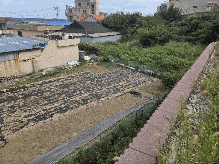 경상북도 경주시 감포읍 오류리 21 전 경매 사진 4