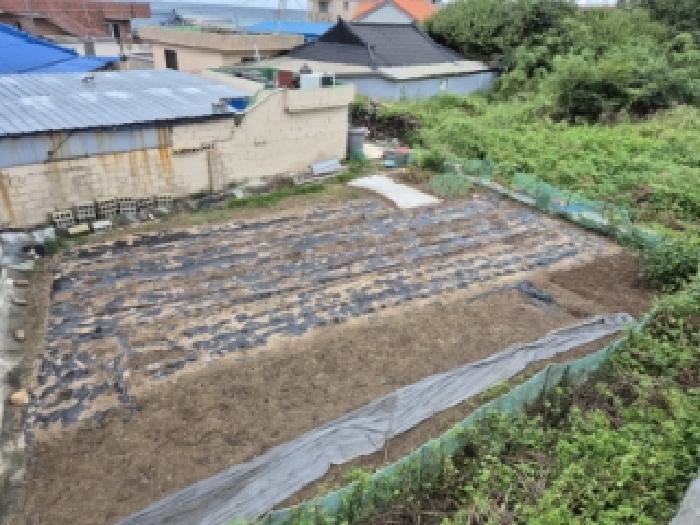 경상북도 경주시 감포읍 오류리 21 전 경매 사진 9