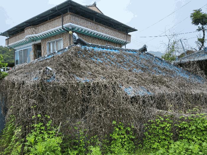 경상북도 김천시 감문면 구야리 491 답 경매 사진 7
