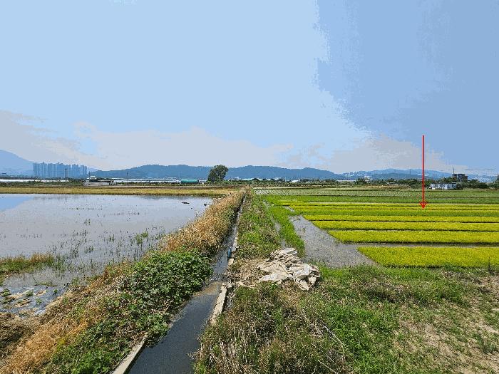 경상북도 구미시 지산동 845-173 답 경매 사진 3