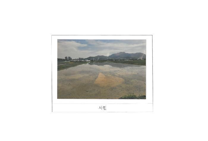 경상북도 구미시 지산동 845-173 답 경매 사진 5