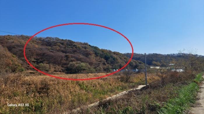 경기도 연천군 신서면 답곡리 산128 임야 경매 사진 10