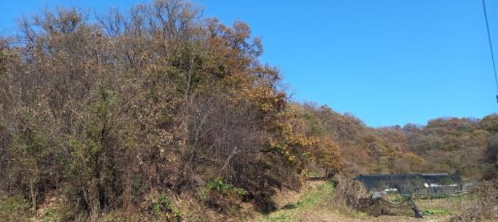 경기도 연천군 신서면 답곡리 산128 임야 경매 사진 15