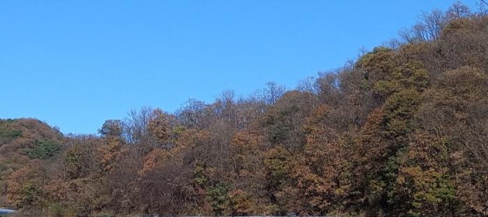 경기도 연천군 신서면 답곡리 산128 임야 경매 사진 16