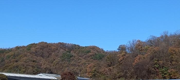경기도 연천군 신서면 답곡리 산128 임야 경매 사진 17