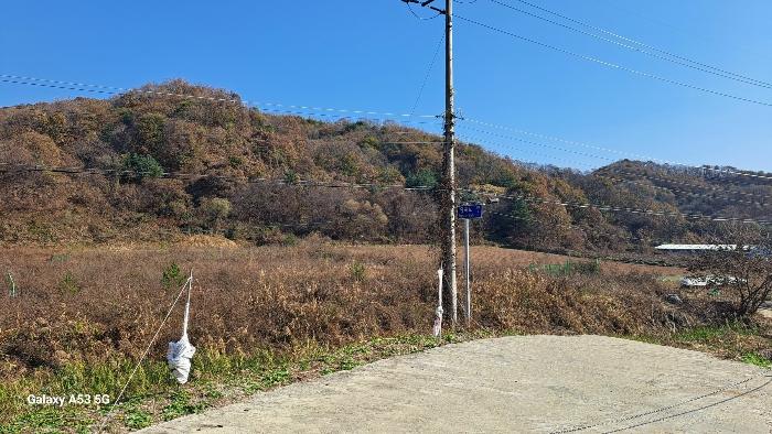 경기도 연천군 신서면 답곡리 산128 임야 경매 사진 2
