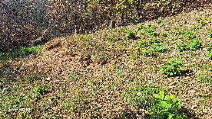 경기도 연천군 신서면 답곡리 산128 임야 경매 사진 9