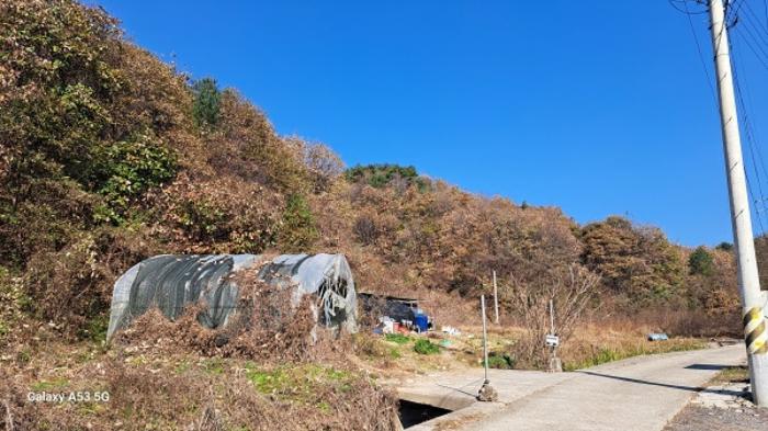 경기도 연천군 신서면 답곡리 산134 임야 경매 사진 7