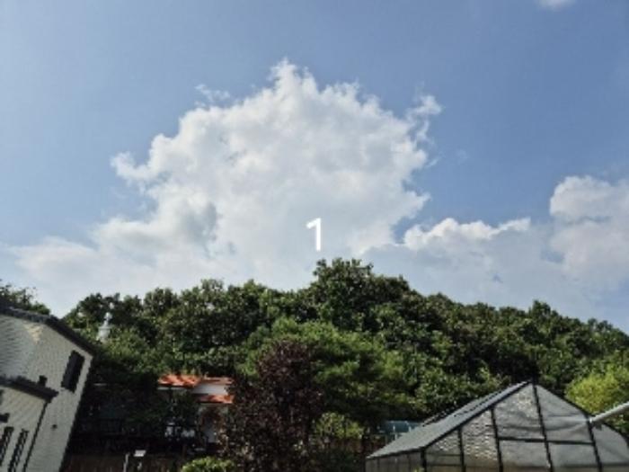 경기도 양평군 개군면 하자포리 190-10 임야 경매 사진 5