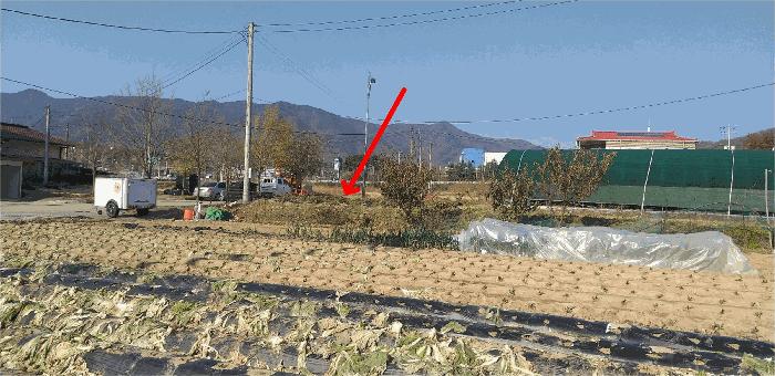 충청북도 증평군 증평읍 미암리 564-2 주택 경매 사진 4