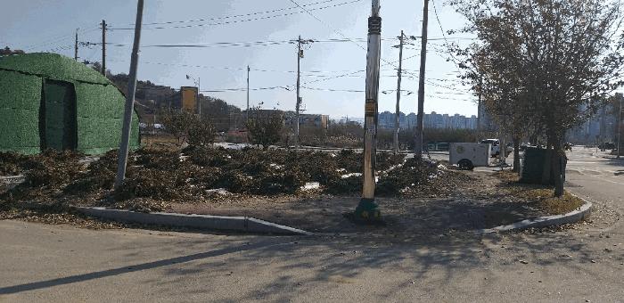 충청북도 증평군 증평읍 미암리 564-2 주택 경매 사진 8