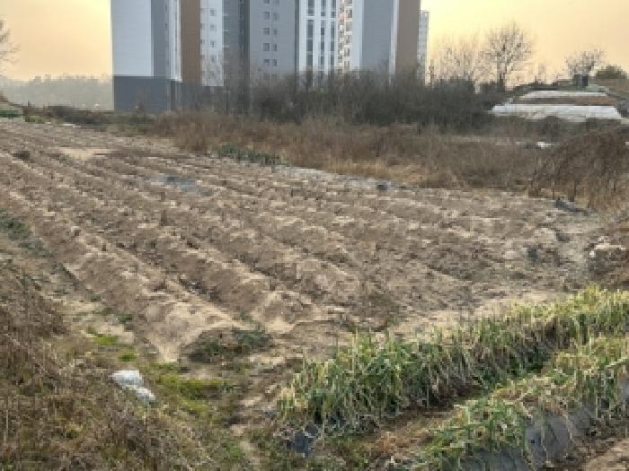 충청북도 증평군 증평읍 증평리 545 전 경매 사진 1