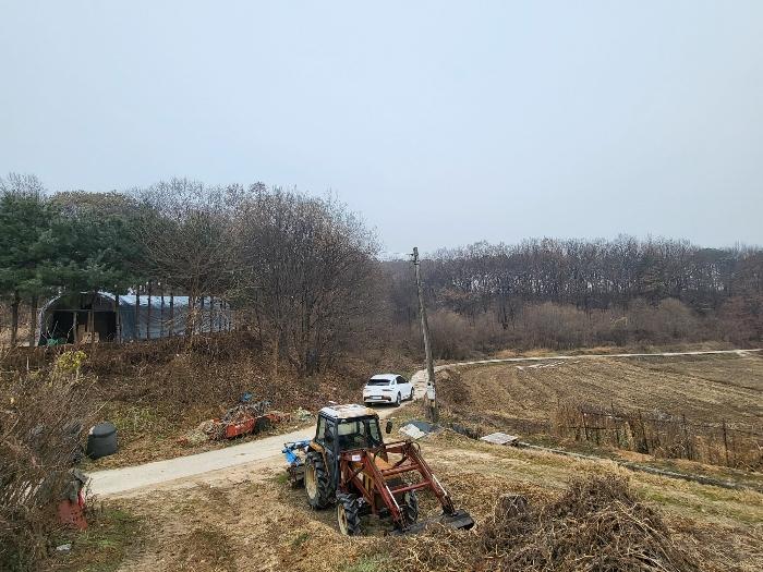 경기도 여주시 세종대왕면 왕대리 산73-6 임야 경매 사진 1
