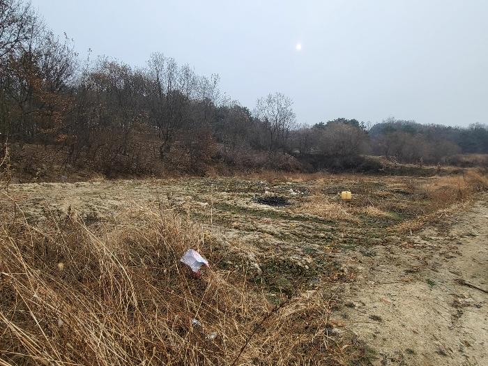 경기도 여주시 세종대왕면 왕대리 산73-6 임야 경매 사진 10