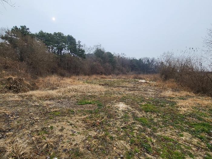 경기도 여주시 세종대왕면 왕대리 산73-6 임야 경매 사진 12