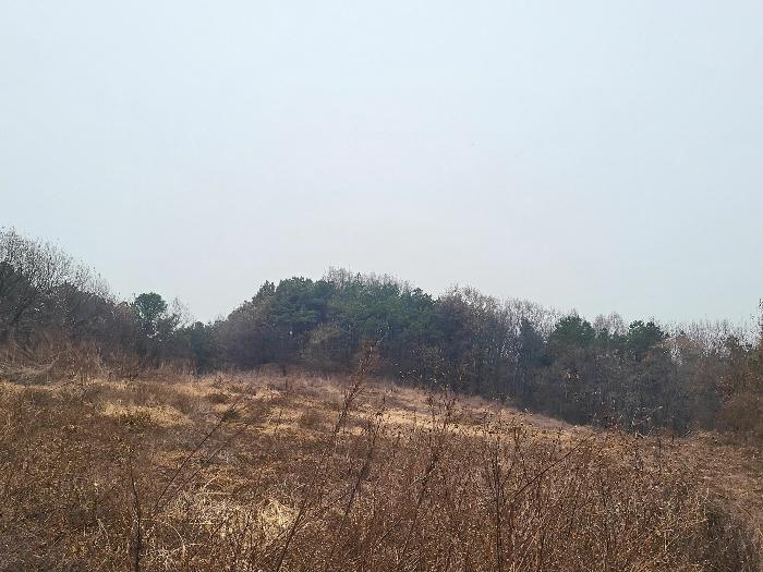 경기도 여주시 세종대왕면 왕대리 산73-6 임야 경매 사진 15