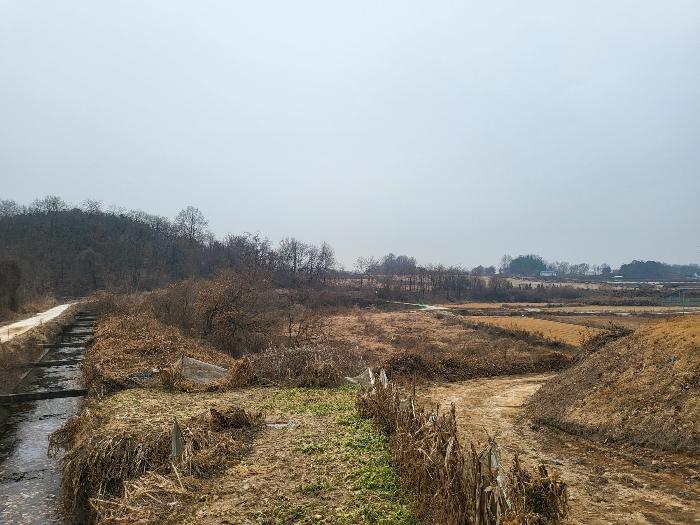 경기도 여주시 세종대왕면 왕대리 산73-6 임야 경매 사진 16