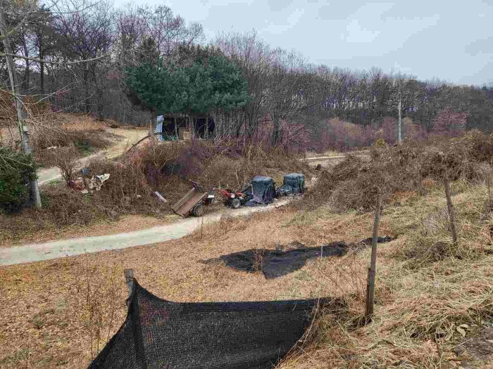 경기도 여주시 세종대왕면 왕대리 산73-6 임야 경매 사진 18