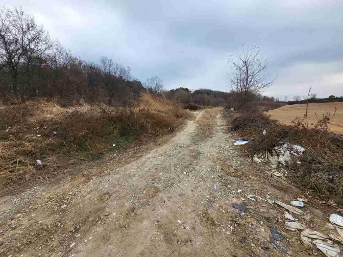 경기도 여주시 세종대왕면 왕대리 산73-6 임야 경매 사진 30