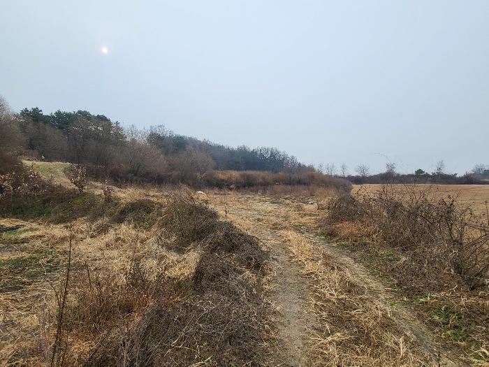 경기도 여주시 세종대왕면 왕대리 산73-6 임야 경매 사진 8