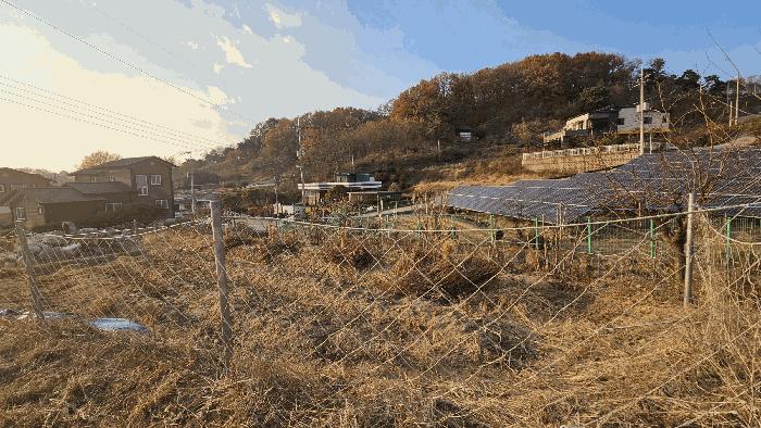 충청북도 청주시 상당구 남일면 송암리 198-2 전 경매 사진 3