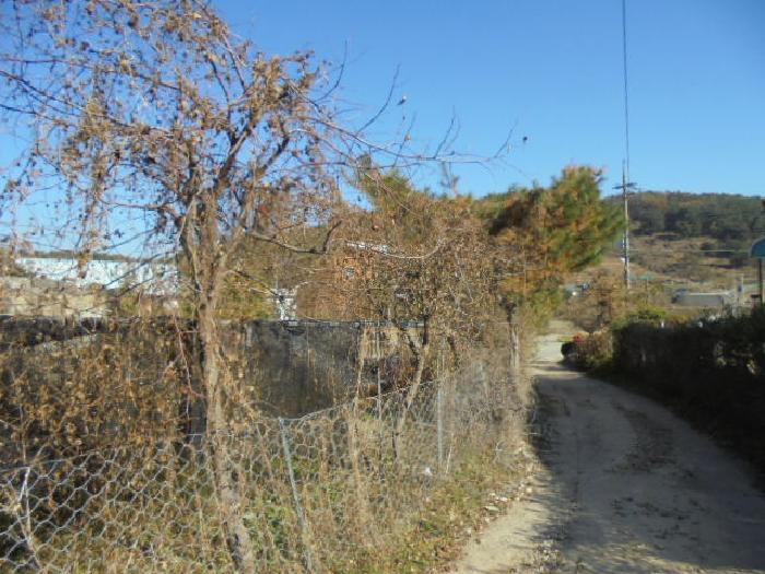 충청북도 청주시 상당구 남일면 신송리 562 전 경매 사진 12