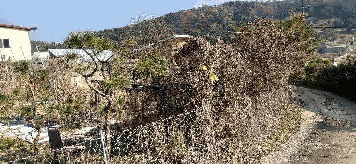충청북도 청주시 상당구 남일면 신송리 562 전 경매 사진 3