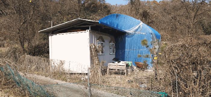 충청북도 청주시 상당구 남일면 신송리 562 전 경매 사진 4