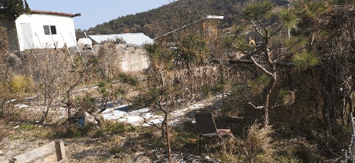 충청북도 청주시 상당구 남일면 신송리 562 전 경매 사진 7