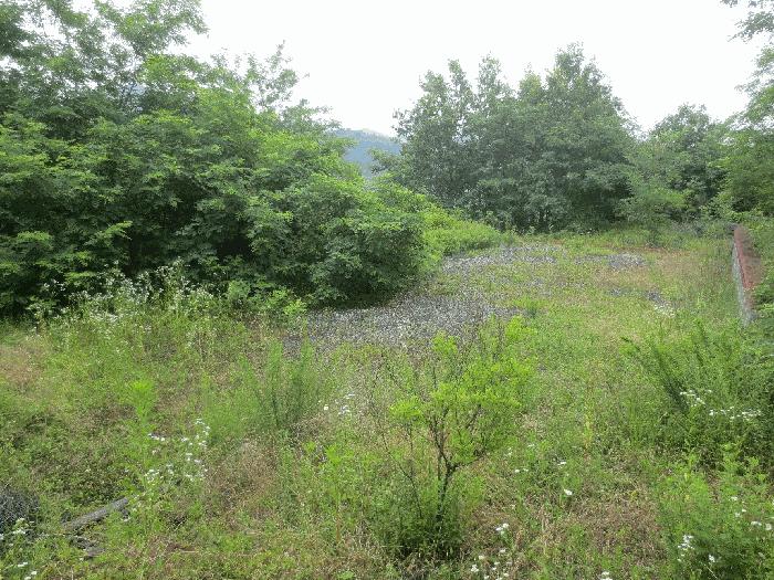 경상북도 청도군 이서면 가금리 산26 임야 경매 사진 11