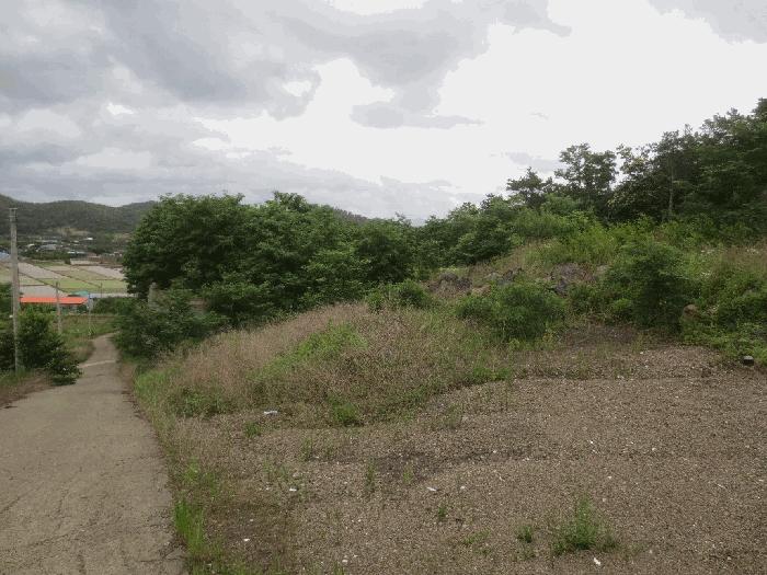 경상북도 청도군 이서면 가금리 산26 임야 경매 사진 4