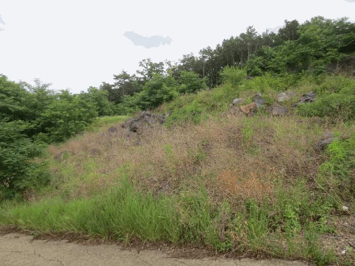 경상북도 청도군 이서면 가금리 산26-10 임야 경매 사진 15