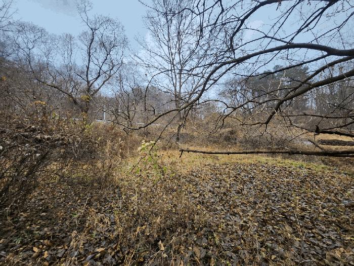 충청북도 괴산군 괴산읍 서부리 67 전 경매 사진 2