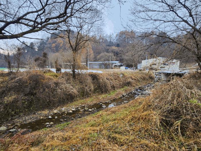 충청북도 괴산군 괴산읍 서부리 67 전 경매 사진 3
