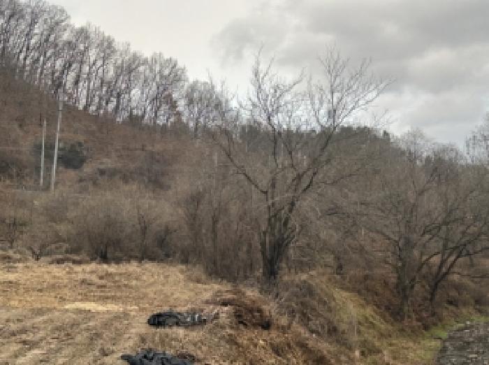 충청북도 괴산군 괴산읍 서부리 67 전 경매 사진 4
