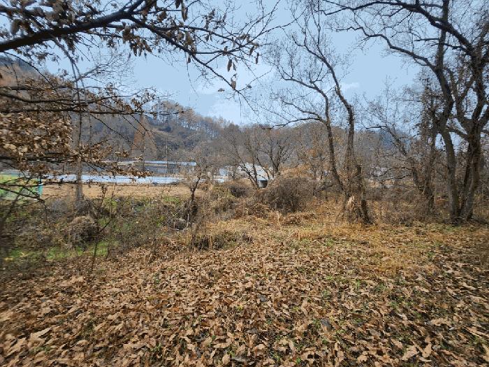 충청북도 괴산군 괴산읍 서부리 67 전 경매 사진 5