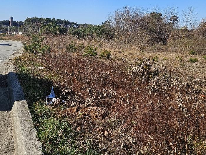 충청남도 태안군 임야