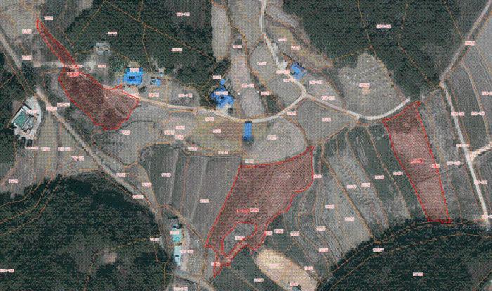 충청남도 당진시 석문면 교로리 178 답 경매 사진 11